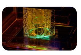 A cervical spine model part-way through printing inside the resin tank of a 3D printer