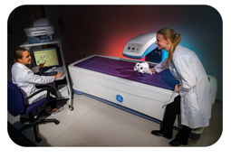 A researcher positioning a specimen on a Dual Energy X-Ray Absorptiometry scanner while a colleague operates the console