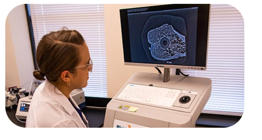 A researcher reviewing a high-resolution microradiograph