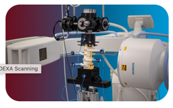 A spinal specimen mounted in a test frame positioned within a fluoroscopic imaging system