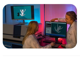 Researchers reviewing a micro-computed tomography reconstruction at an imaging workstation