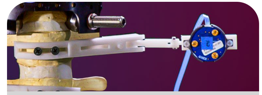 A spinal specimen fitted with 3D printed radiolucent motion-tracking marker holders